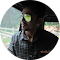 Abhijit Dev